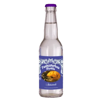 Limonade Myrtille - Limonade de Fontestorbes Belesta